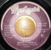7inch Vinyl Single - Brian Tyrrell - Slip Away