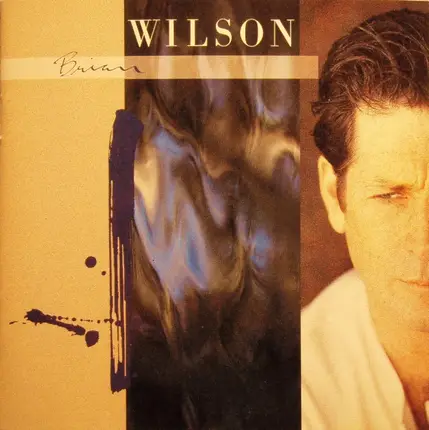 Brian Wilson - Brian Wilson
