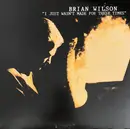 LP - Brian Wilson - I Just Wasn't Made For These Times - Still Sealed, 180g
