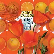 Brian Wilson - That Lucky Old Sun