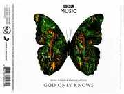 CD Single - Brian Wilson & Various - God Only Knows
