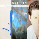 LP - Brian Wilson - Brian Wilson
