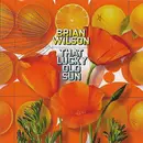 CD - Brian Wilson - That Lucky Old Sun