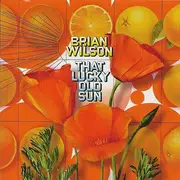 CD - Brian Wilson - That Lucky Old Sun