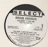 Brian Andrus - You Don't Love Me (Like You Used To)