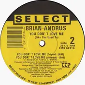 Brian Andrus - You Don't Love Me (Like You Used To)