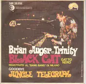 Brian Auger