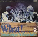 LP - Brian Auger & The Trinity - Definitely What! - Gatefold