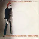 7inch Vinyl Single - Brian Briggs - Nervous Breakdown