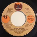 7inch Vinyl Single - Brian Briggs - See You On The Other Side