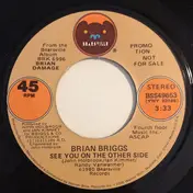 brian briggs - See You On The Other Side