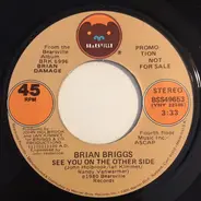 Brian Briggs - See You On The Other Side