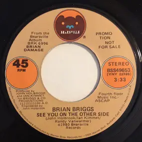 brian briggs - See You On The Other Side