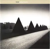 Brian - Bring Trouble