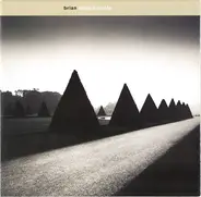 Brian - Bring Trouble