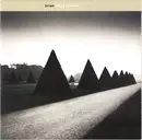 CD - Brian - Bring Trouble