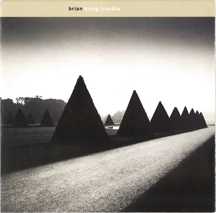 Brian - Bring Trouble