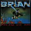 LP - Brian - Čelem Ke Zdi