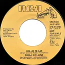7inch Vinyl Single - Brian Collins - Hello Texas