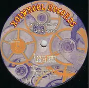 12'' - Brian Damage - Disco Tragedy