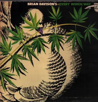 Brian Davison 's Every Which Way - Brian Davison's Every Which Way