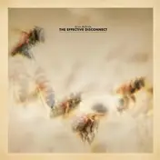 Brian McBride - THE EFFECTIVE DISCONNECT- Music Copmposed for the Documentary 'Vanashing Of The Bees'