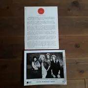 LP - Brian McDonald Group - Desperate Business - Promo