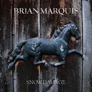 CD - Brian Marquis - Snow Damage - Digipak, EP