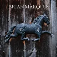 Brian Marquis - Snow Damage
