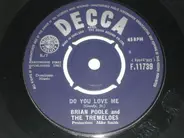 Brian Poole & The Tremeloes - Do You Love Me