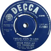 The Tremeloes - Twelve Steps To Love