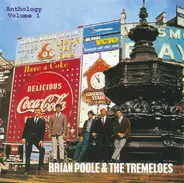 Brian Poole & The Tremeloes - Big Big Hits Of '62