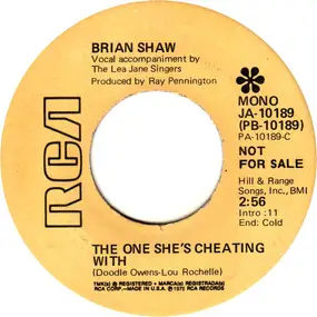 Brian Shaw - The One She's Cheating With / I'm There