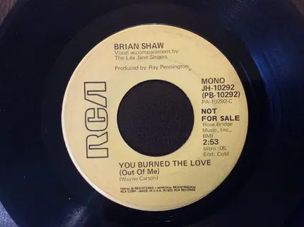Brian Shaw - You Burned The Love (Out Of Me)