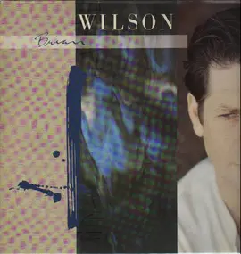 Brian Wilson - Brian Wilson