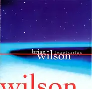 Brian Wilson - Imagination