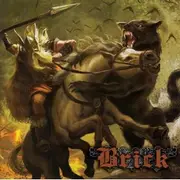 7inch Vinyl Single - Brick - Brick