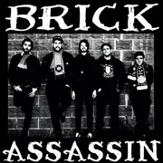 7inch Vinyl Single - Brick Assassin - Chicago Brick Crew