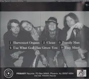 CD - Brick Chair - Pick The Shiniest Fruit