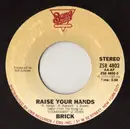 7inch Vinyl Single - Brick - Raise Your Hands
