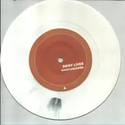 7inch Vinyl Single - Brief Lives - Whistleblower - white pressing