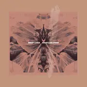 7inch Vinyl Single - Brief Lives - Whistleblower - white pressing