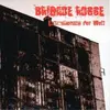 CD - Brigade Rosse - Entzauberung der Welt