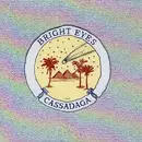 CD - Bright Eyes - Cassadaga - jewelcase incl. decoder card