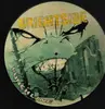 Picture LP - Brightside - Punchline - Picture Disc
