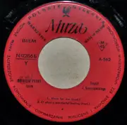 7inch Vinyl Single - Brigitt Petry - What You... Gone To Do - Company Sleeve, Mono