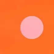 Thomas Brinkmann - Rosa