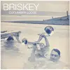 2 x 12inch Vinyl Single - Briskey - Cucumber Lodge
