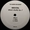 12inch Vinyl Single - Bristal - What's Really Up...?