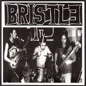Bristle